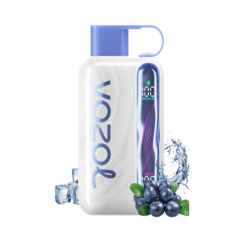 Vozol Star 40000 40K Puffs Wiederaufladbares Einweg Kit 20ml (50mg) - 💥 Nehme 5 Zahle NUR 4! + Ab einem Einkauf von 100€ 2 Mystery Gratis💥
