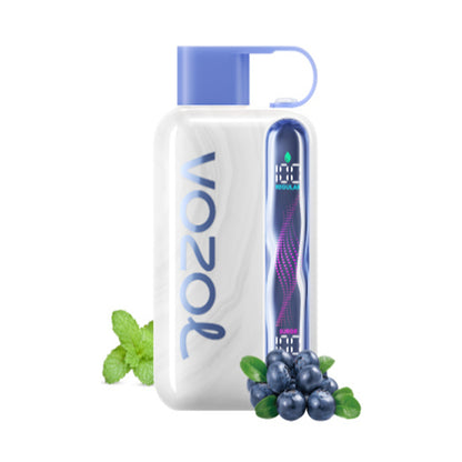 Vozol Star 40000 40K Puffs Wiederaufladbares Einweg Kit 20ml (50mg) - 💥 Nehme 5 Zahle NUR 4! + Ab einem Einkauf von 100€ 2 Mystery Gratis💥