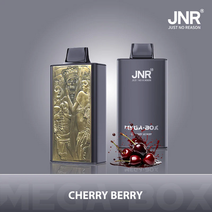 JNR Mega Box 25000 Puffs Einweg Kit - 💥 BLACK Friday WEEK - Nehme 4 Zahle NUR 3! + Ab einem Einkauf von 100€ 1 Mystery Vapes Gratis + Ab einem Einkauf von 150€ 2 Mystery Vapes Gratis 💥