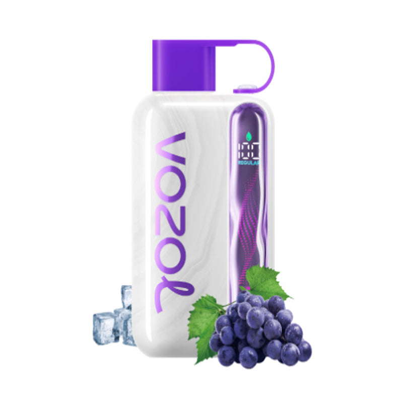 Vozol Star 40000 40K Puffs Wiederaufladbares Einweg Kit 20ml (50mg) - 💥 Nehme 5 Zahle NUR 4! + Ab einem Einkauf von 100€ 2 Mystery Gratis💥