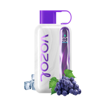 Vozol Star 40000 40K Puffs Wiederaufladbares Einweg Kit 20ml (50mg) - 💥 Nehme 5 Zahle NUR 4! + Ab einem Einkauf von 100€ 2 Mystery Gratis💥