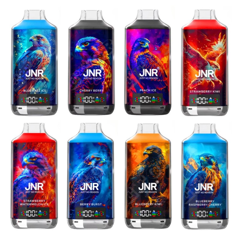JNR Falcon X 18000 Puffs Einweg Kit
