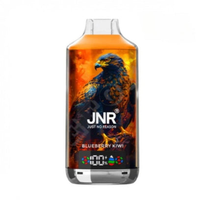 JNR Falcon X 18000 18K Puffs Einweg Kit