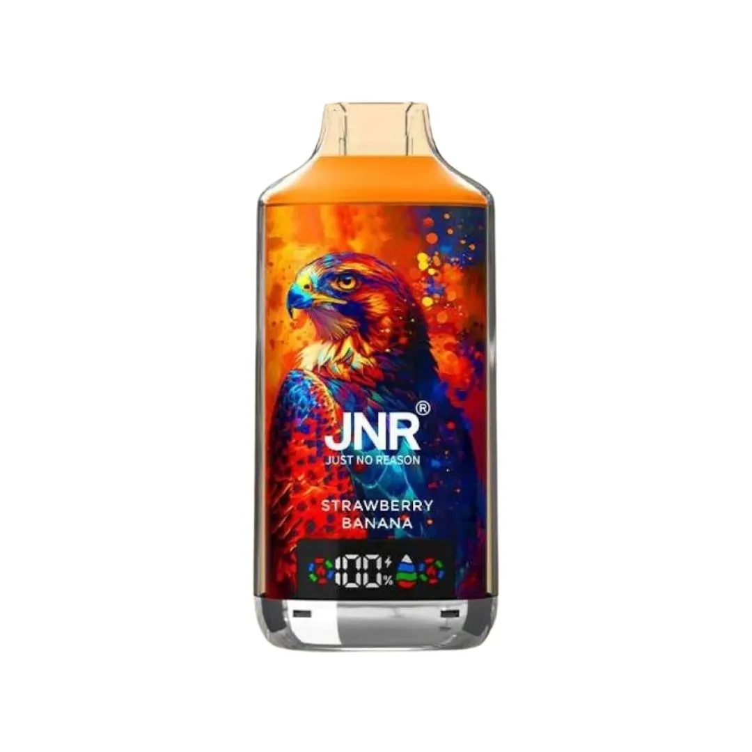 JNR Falcon X 18000 18K Puffs Einweg Kit