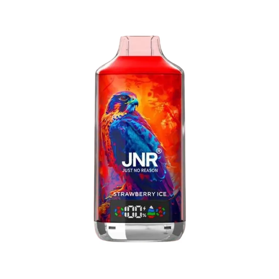 JNR Falcon X 18000 18K Puffs Einweg Kit
