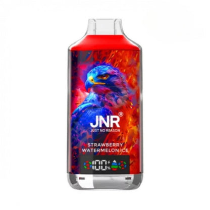 JNR Falcon X 18000 18K Puffs Einweg Kit