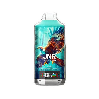 JNR Falcon X 18000 18K Puffs Einweg Kit