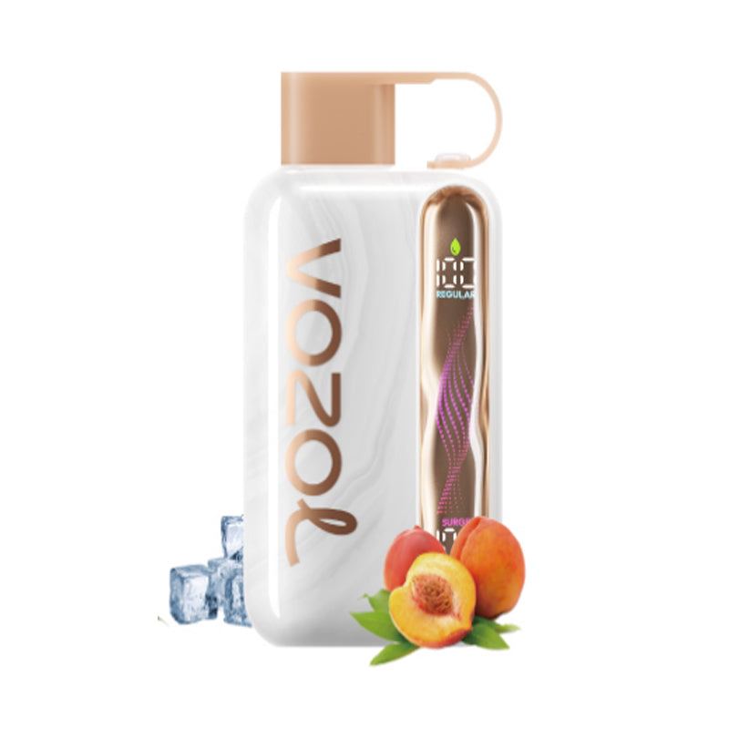 Vozol Star 40000 40K Puffs Wiederaufladbares Einweg Kit 20ml (50mg) - 💥 Nehme 5 Zahle NUR 4! + Ab einem Einkauf von 100€ 2 Mystery Gratis💥