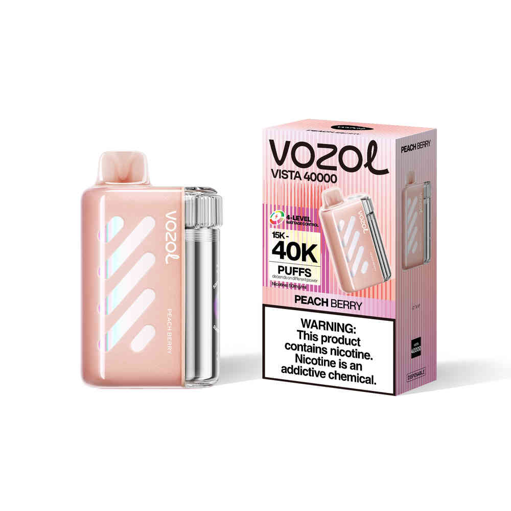 VOZOL Vista 40000 Puffs Wiederaufladbarer Einweg Kit 20ml (40K Puffs) - 💥 Nehme 5 Zahle NUR 4! + Ab einem Einkauf von 100€ 2 Mystery Gratis💥