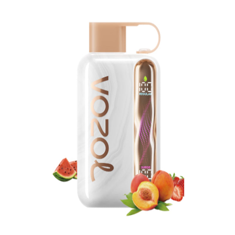 Vozol Star 40000 40K Puffs Wiederaufladbares Einweg Kit 20ml (50mg) - 💥 Nehme 5 Zahle NUR 4! + Ab einem Einkauf von 100€ 2 Mystery Gratis💥