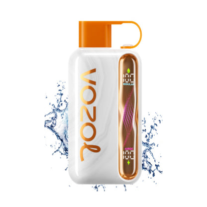 Vozol Star 40000 40K Puffs Wiederaufladbares Einweg Kit 20ml (50mg) - 💥 Nehme 5 Zahle NUR 4! + Ab einem Einkauf von 100€ 2 Mystery Gratis💥