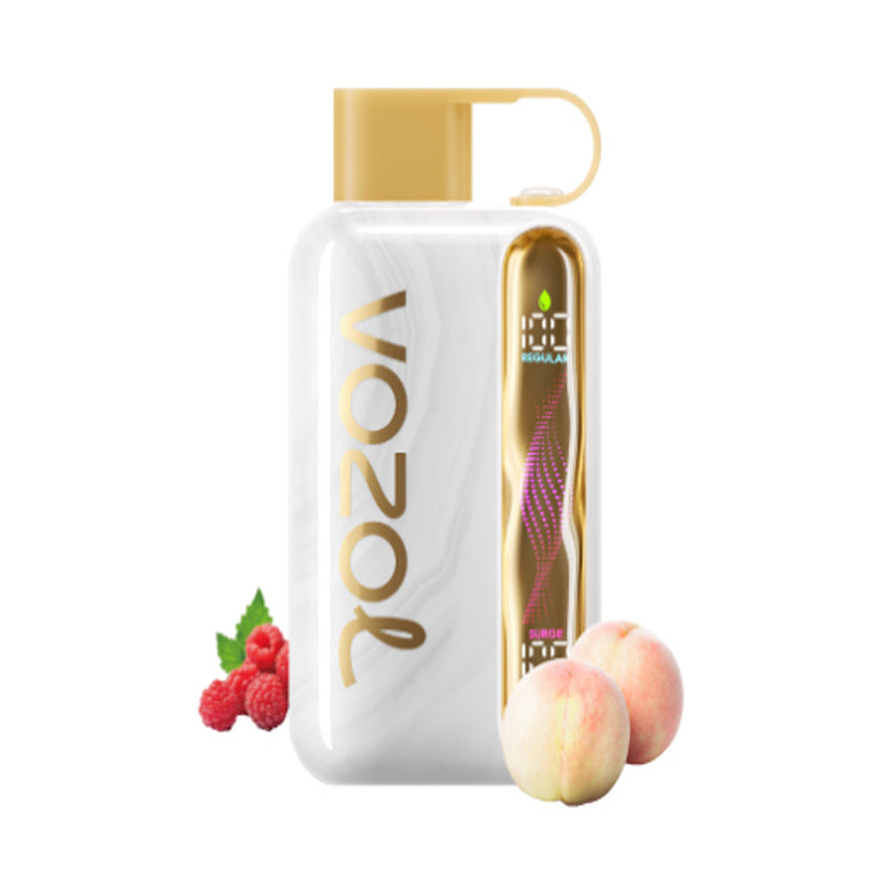 Vozol Star 40000 40K Puffs Wiederaufladbares Einweg Kit 20ml (50mg) - 💥 Nehme 5 Zahle NUR 4! + Ab einem Einkauf von 100€ 2 Mystery Gratis💥